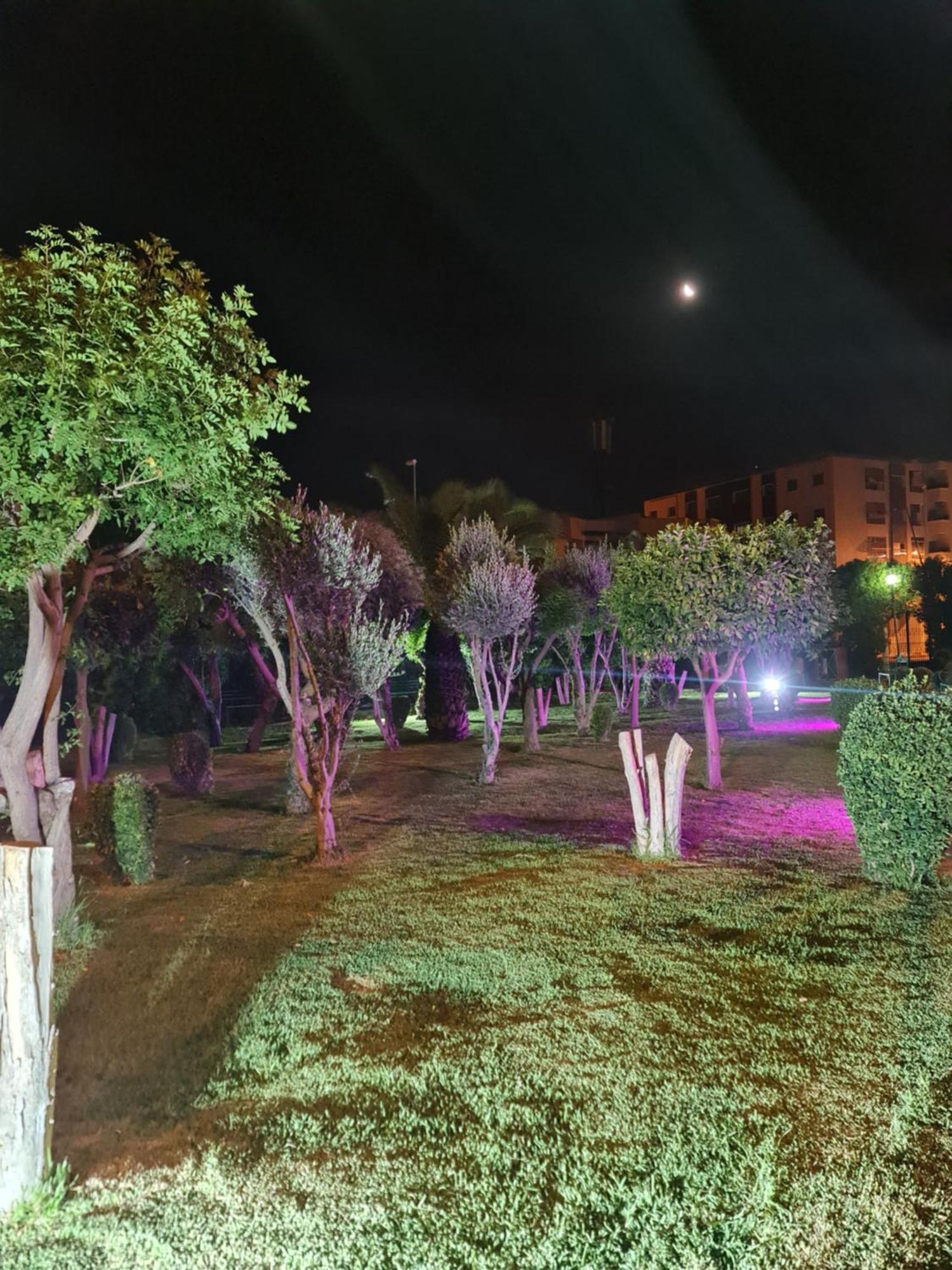 Fes Urban Apartment - Urban Elegance With Garden And Pool Access Exterior foto